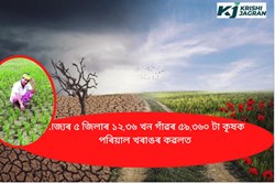 Drought like situation in five districts of Assam