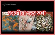 ৰংচঙীয়া মাছৰ কথা!