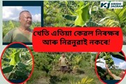 বাক্সাত বিপিএফ নেতা বনমালী বড়োৰ কৃষিবিপ্লৱ