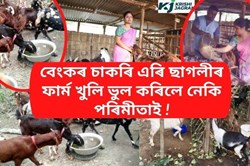 goat farming success story