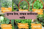 আপুনিও কৰিব পাৰে এই কেইবিধ খেতি