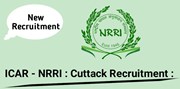  ICAR-NRRI নিযুক্তি 2022: প্ৰকল্প সমন্বয়ক আৰু স্নাতক সহায়ক পদ মুকলি
