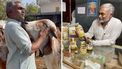 Farmer earn lakh of rupees  from cow dung and urine