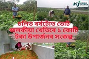 কৃষকসকলে শস্য উৎপাদনৰ লগতে বজাৰখন ৰাখিব লাগিব হাতৰ মুঠিত- ভৱেন শালৈ