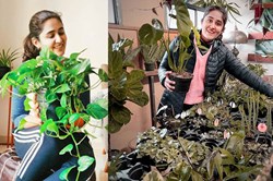 Gardening youtuber success story