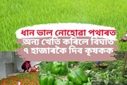 কৃষকসকলে ধান খেতিৰ বিকল্প কথা চিন্তা কৰক এতিয়াৰ পৰাই