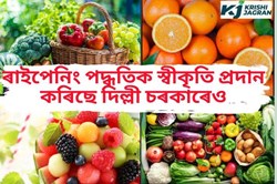 Fruit Ripening System