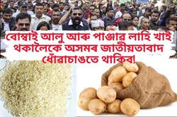 regionalism fail without cultivation in Assam