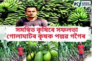 সমন্বিত কৃষিৰে সফলতা গোলাঘাটৰ কৃষক পল্লৱ গগৈৰ