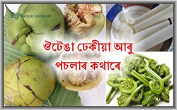 Health Benefit of Elephant Apple, Fiddlehead Fern and Posola