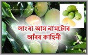 লাংৰা আম নামৰ আঁৰৰ প্ৰকৃত কাহিনীটো জানেনে আপুনি? লাংৰা আম নামৰ আঁৰৰ প্ৰকৃত কাহিনীটো জানেনে আপুনি?