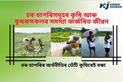 Char-Chaparis farmers life and their problems