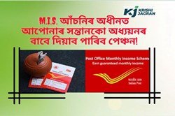 monthly income scheme