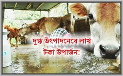 Dairy Farming: a profitable Business for Farmers