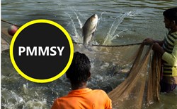 PMMSY benefit