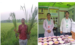 Story of Farmer Sudam Sahu