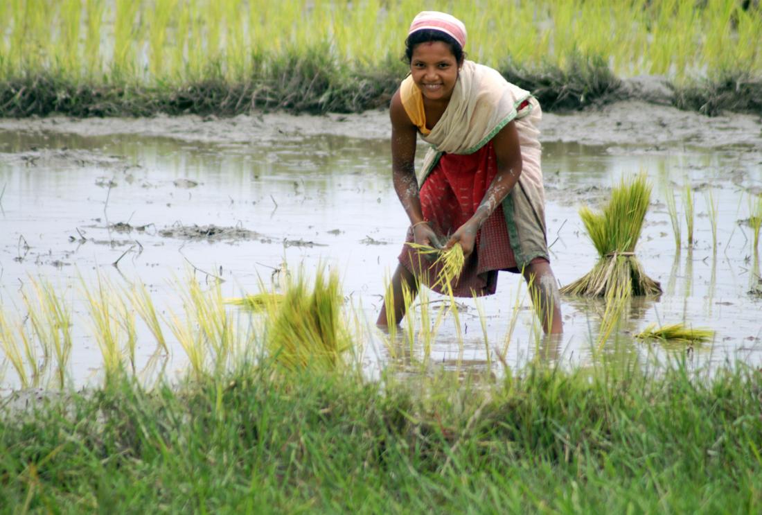 Beliefs about Menstruating women and importance of women agriculture