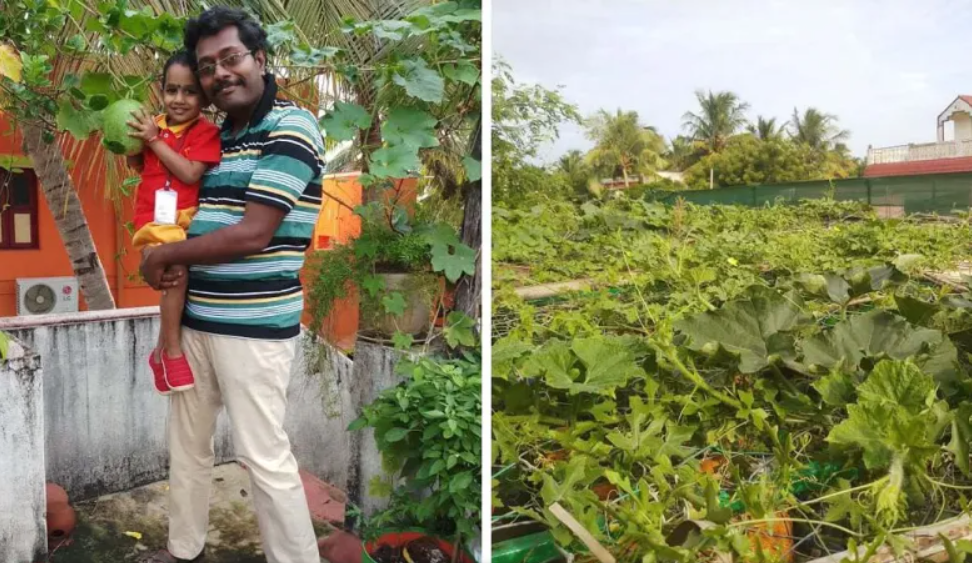 Engineering Prof Grows All Veggies for his Kitchen in Recycled Refrigerators on Terrace