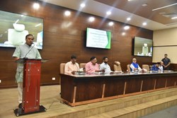 Alternatives to paddy cultivation