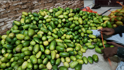 Assam lemon to be available in delhi