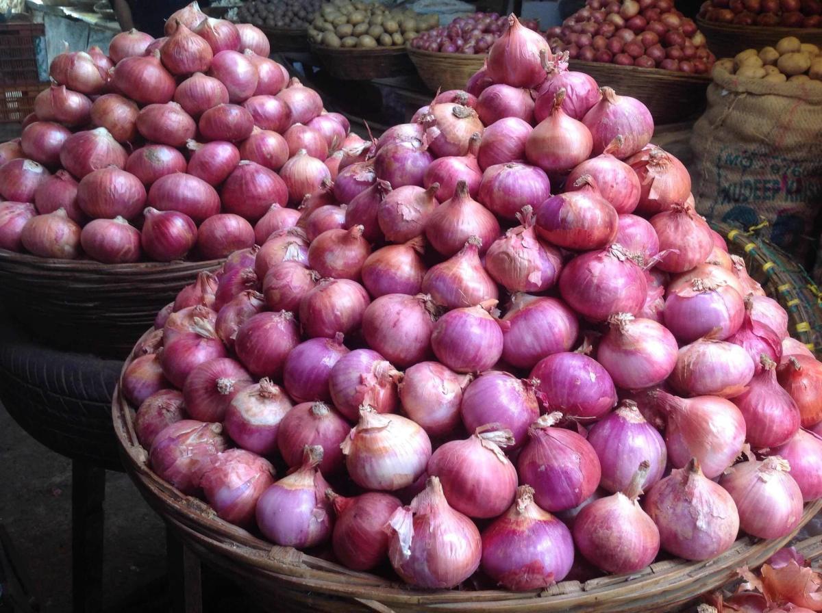 onion price rise