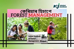 Forest Management