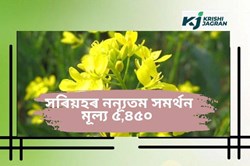 Minimum Support Price Hiked For 6 Crops