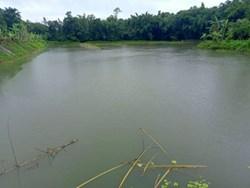 Fish Farming in Naruathan