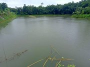 মাছ পালনেৰে স্বচ্ছল জীৱন-যাপন ধেমাজিৰ বাবা চমুৱাৰ