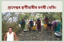 Success Story of Apple Berry farmer Praneswar Swargiary