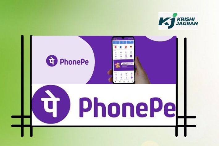 HOW TO EARN 1000 BY PHONEPe