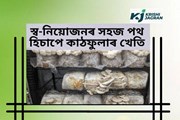 গৃহিনীসকলৰ স্ব-নিয়োজনৰ সহজ পথ
