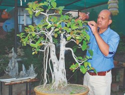 Delhi Pollution News on Soumik Das