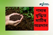 শস্যৰ বৃদ্ধিত মাটিৰ অৱদান