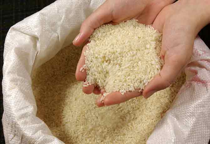 Rice knowledge bank