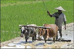 Now farmers will get loan at 4%, do this work today