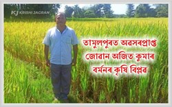 green revolution in Tamulpur by Ajit kumar Barman