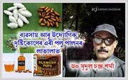 ব্যৱসায় আৰু উদ্যোগিক দৃষ্টিকোণেৰে এৰী পলু পালনৰ লাভালাভ