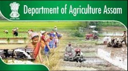 Village Level Farm Machinaries Bank-2