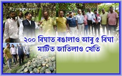 SANKARDEVA ORGANIC FARM, NALBARI