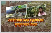 আপুনি থাইলেণ্ড বগৰী, ষ্ট্ৰ’বেৰী, ভোট জলকীয়া কৰিব বিচাৰে নেকি!