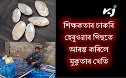 Pearl Farming Success Story