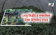 কৃষি কৰ্মৰে উজলিছে চৰাইদেউৰ প্ৰশান্ত দত্ত,  নেমু বিক্ৰীৰে উপাৰ্জন লক্ষাধিক টকা!  কৃষি কৰ্মৰে উজলিছে চৰাইদেউৰ প্ৰশান্ত দত্ত,  নেমু বিক্ৰীৰে উপাৰ্জন লক্ষাধিক টকা!