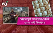 লেয়াৰ মুৰ্গী পালনেৰে দৈনিক ৩২০০ কণী উৎপাদন শিৱসাগৰৰ পৱন কোঁৱৰৰ লেয়াৰ মুৰ্গী পালনেৰে দৈনিক ৩২০০ কণী উৎপাদন শিৱসাগৰৰ পৱন কোঁৱৰৰ
