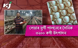 Egg Production Farm Sibsagar