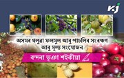 অসমৰ থলুৱা ফল-মূল আৰু পাচলিৰ সংৰক্ষণ আৰু মূল্য সংযোজন