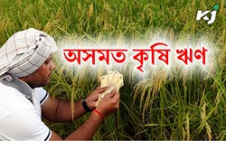Problems of Agriculture Loan in Assam