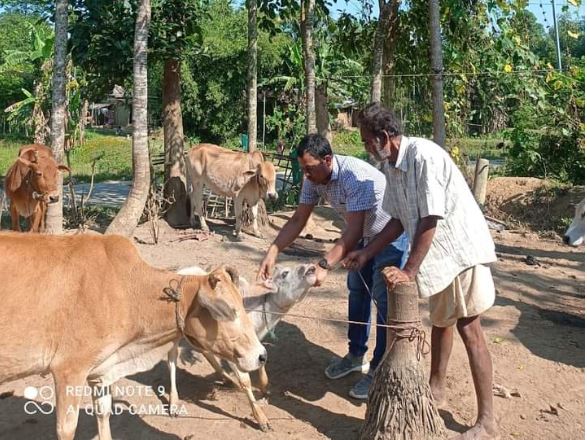 Livestock exhibition fair and workshop in Jorhat on Monday