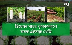Vegetables Farming in December Month