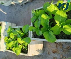 How do you spend your free time!